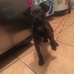 Meet your Posher, Flor